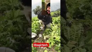 kya chori Kiya hai comedy 😝😜#funny #trending #viral #shagirtech