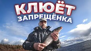 Fishing in Yamal/You can't catch this! Eating over a campfire/Closing of the season