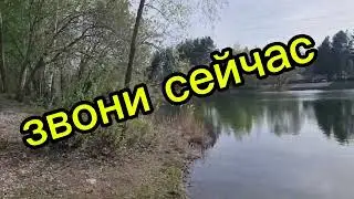Продам дачу рядом с озером около леса