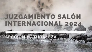Juzgamiento Salón Internacional 2024