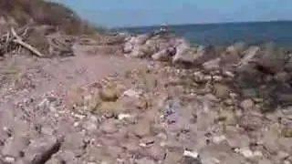 I rifiuti tornano sempre a casa