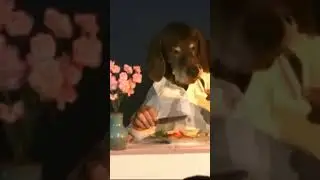 Александр Шаханин
