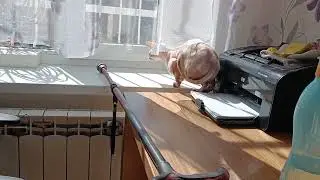 Kat