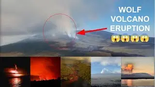 The Wolf Volcano on the Galapagos Islands is erupting after seven years of relative inactivity.