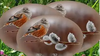 Как жить без Весны