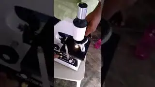 Projection Microscope