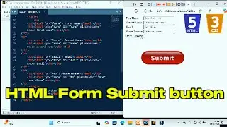 How Tp Create Submit Button| HTML& CSS Tutorials For Beginners| HTML Form Submit Button