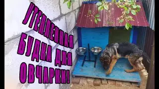 УТЕПЛЕННАЯ БУДКА ДЛЯ НЕМЕЦКОЙ ОВЧАРКИ