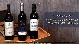 Vinos de la Ribera del Duero