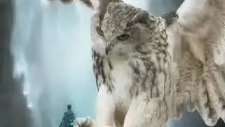 😨😨😨😨😨😨😨😨😨😨😨😨😨😨😨👍