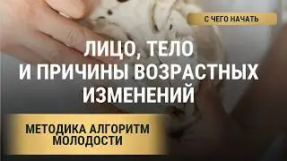 Алгоритм Молодости в Новосибирске Мастерская моделирования лица и тела Естественное омоложение