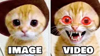 3 idiots laughing at CURSED ai videos