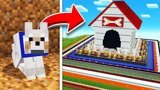 I Built the SAFEEST Dog House!