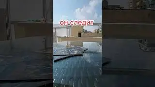 слежка обнаружена #никкиами