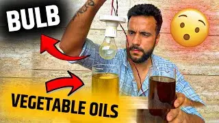 Kya Bulb Glow Karega ?😮 Bulb Vs Oil I Science Experiment I Ashu Sir