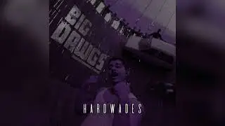 Big Dawgs - Hanumankind & Kalmi (hardwades remix) (g house)