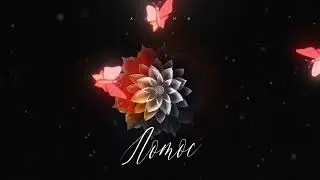 АлСми   Лотос
