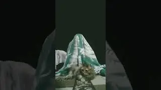 монстр съел мою кошку😨😨