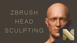 Zbrush Head Sculpting : Workflow Insight