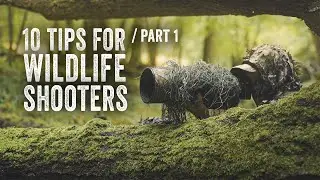 10 ways to improve your WILDLIFE photography & filmmaking - Without buying new gear!