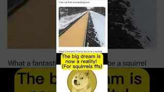 random doge meme found in the dad's basement #memes #doge #shorts #meme #dogememe #funny