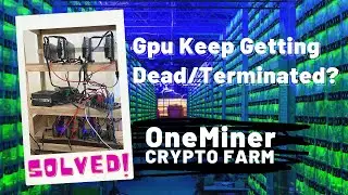 Gpu Keep Getting Dead or Terminated in HiveOS | 6600 XT getting Dead/Terminated Problem solved