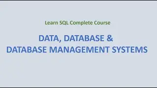 4. Data, Database & Database Management System