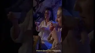 28 мая 2024 г.