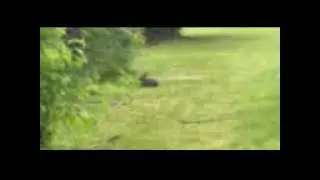 June 10, 2024
