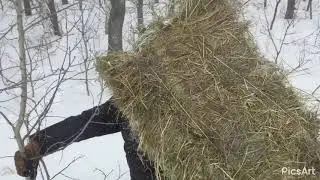 Подкормка для косуль