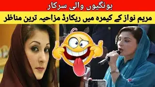 Top Funny & Insulting Moments Of Maryam Nawaz | Funny Moments Of Pakistani Politicians