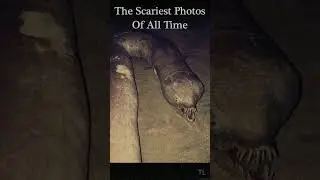 The Scariest Photos of All Time 