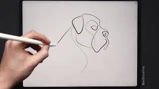 Can You Name Each Dog Breed? One Line Drawing