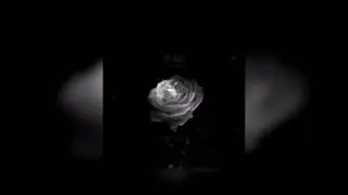 Horse Head - Love You Then (prod. Foxwedding)