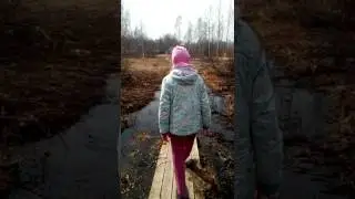 Приехали на дачу, после зимы.