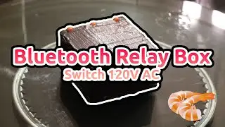 The Bluetooth Relay Box