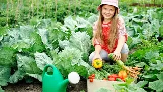 Teaching children the joy of gardening
