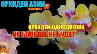 Сорта, которые скоро забудутся. Спешите увидеть пока они есть.