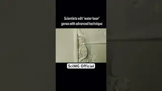 Water bear Genes with advanced techniques #science #scitech #scienceandtechnology #sciencefacts