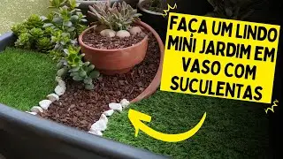 MINI GARDEN WITH SUCULENTS (Assembly and tips on how to do it)