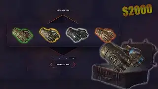 I opened 10% GLOVES Case for $2000 and that´s what I got....