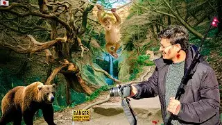 Hiking Ryuokyo Canyon in Japan ! Dangerous Trails and Wild Encounters !!  मेरो first hiking japan !