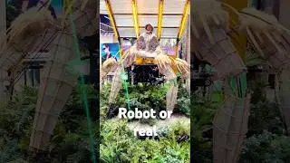 robot?? 