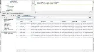 Database Inspector in Android Studio 4.1