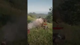 Hacker Spawns a Bear!!!  Red Dead Redemption 2 