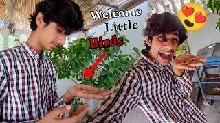 Baby Aagaye 😍(Welcome Little Cute Birds)