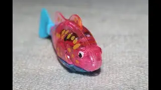 Robot Fish