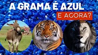 O BURRO✨ O LEÃO E O TIGRE A GRAMA É  AZUL⛳ (reflexão)