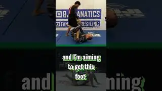 Reap to Inside Ashi 