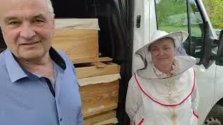 Бджолопакети . Люди в 60років починають з початку !